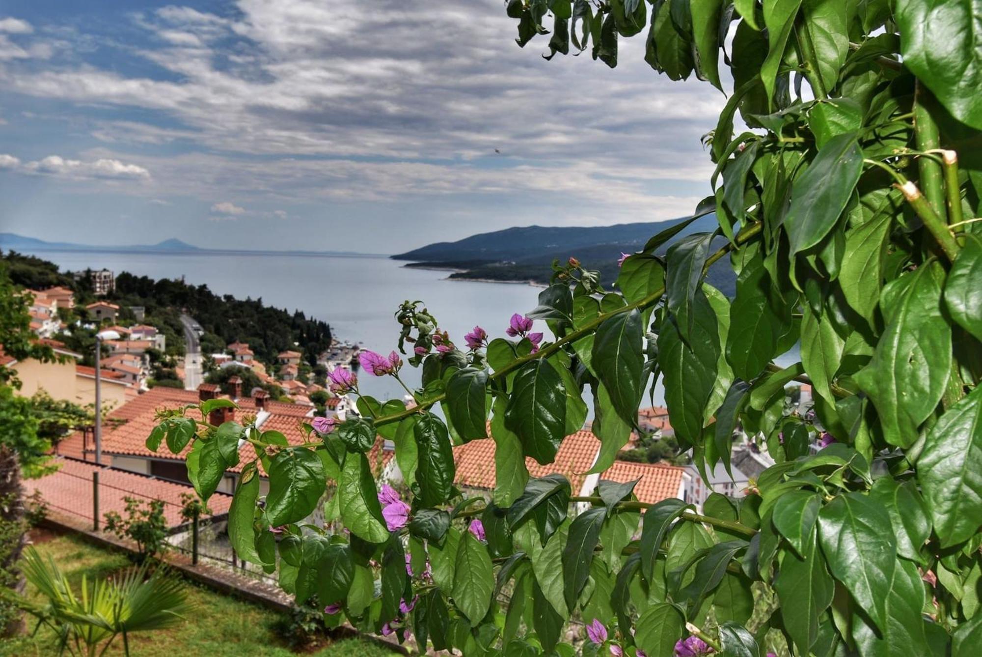 Apartment Neda In Rabac With Bay View 외부 사진