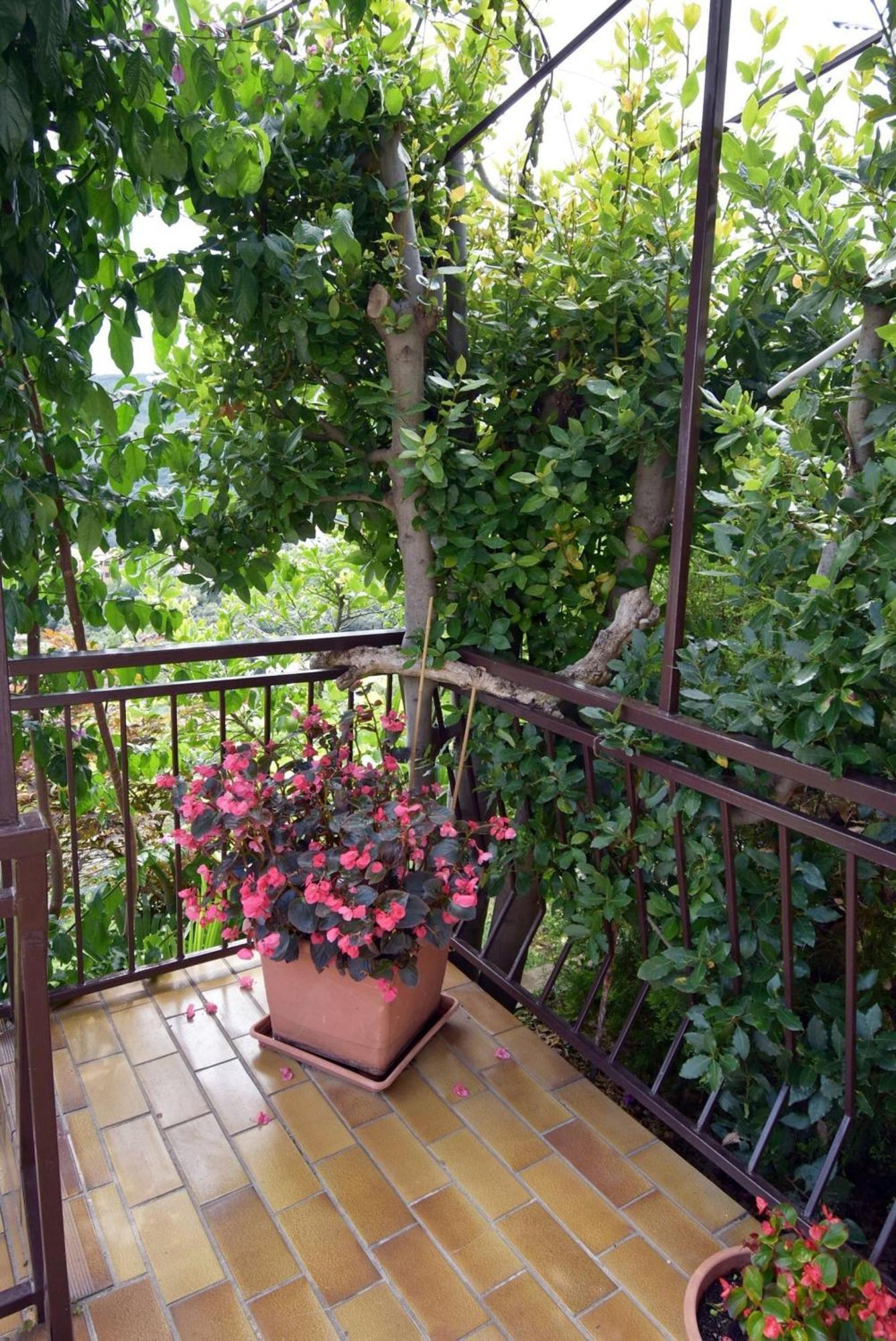 Apartment Neda In Rabac With Bay View 외부 사진